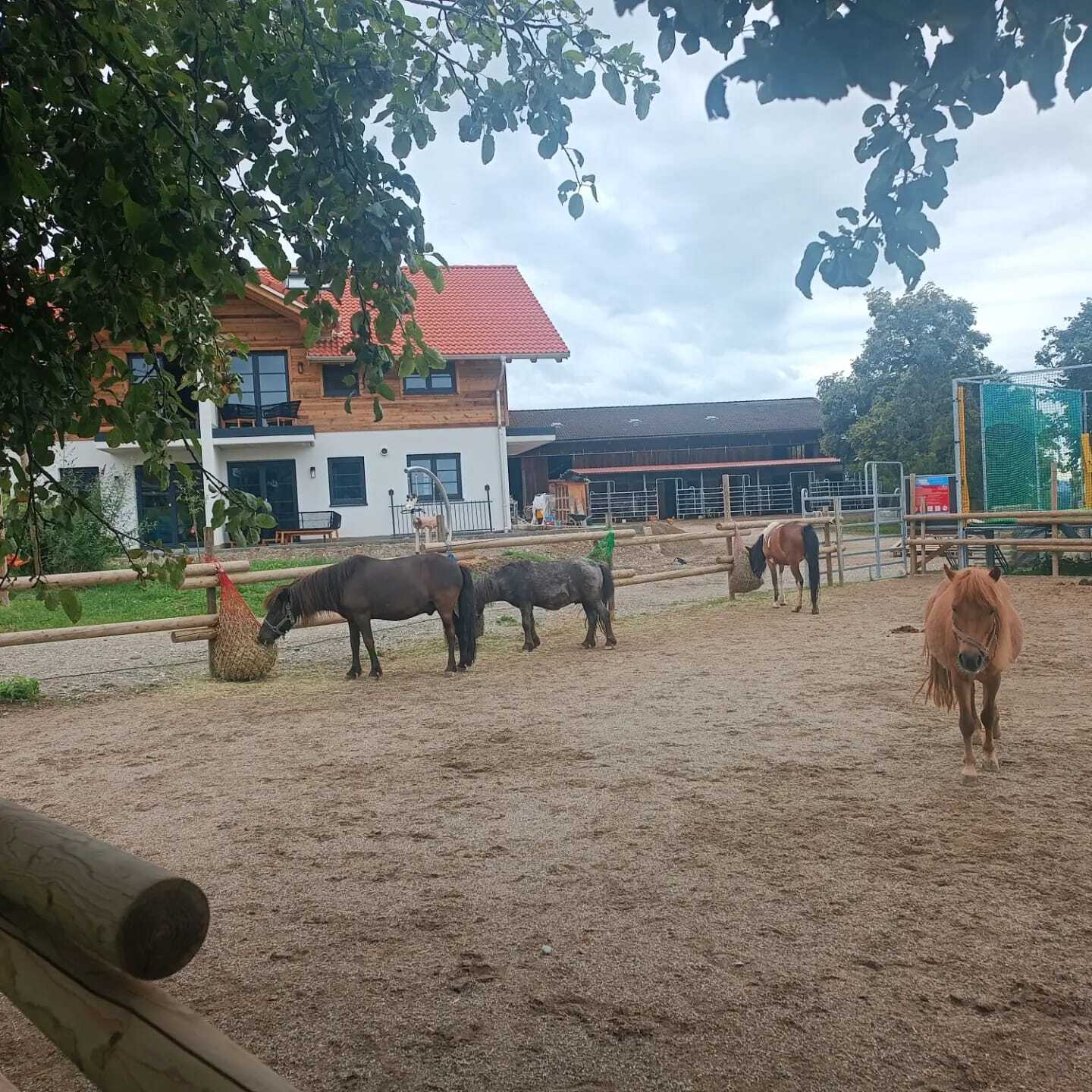 Kinder Erlebnisbauernhof