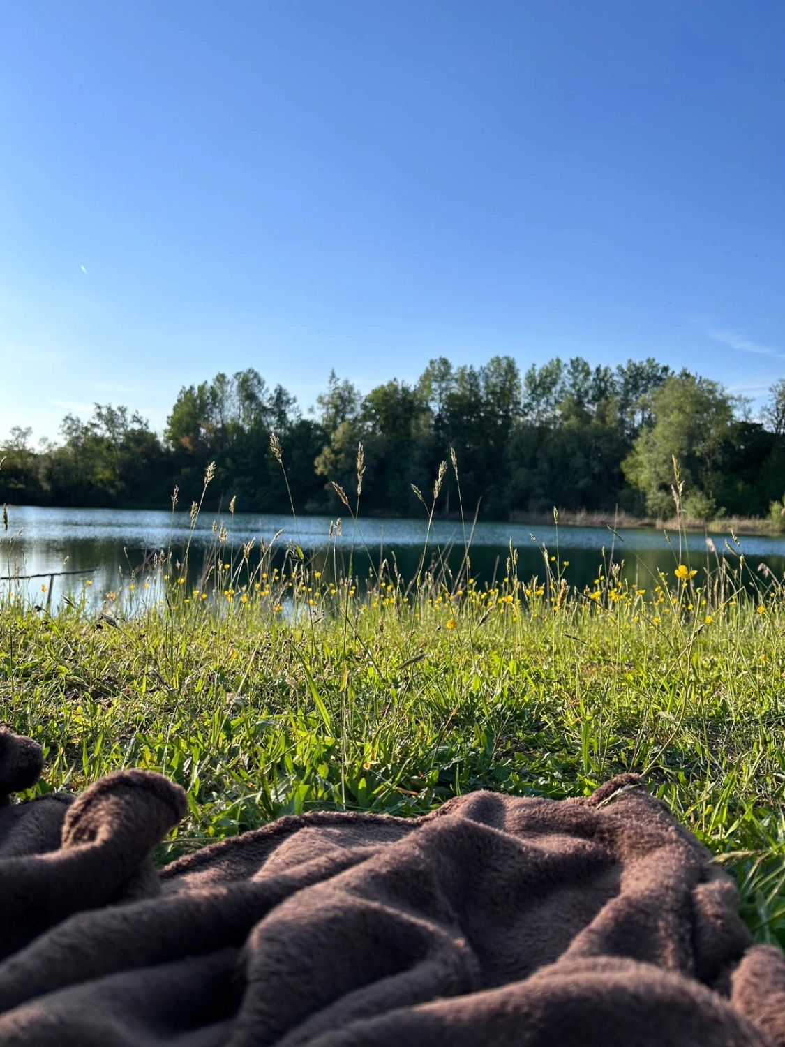 Stornobedingungen