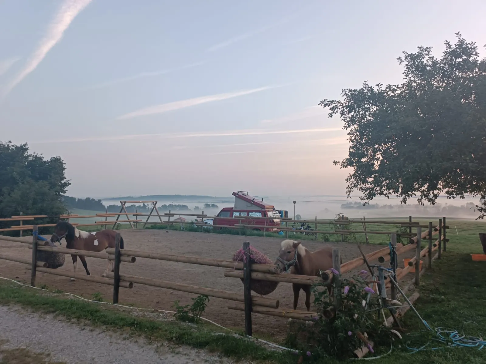 Streicheleinheiten
