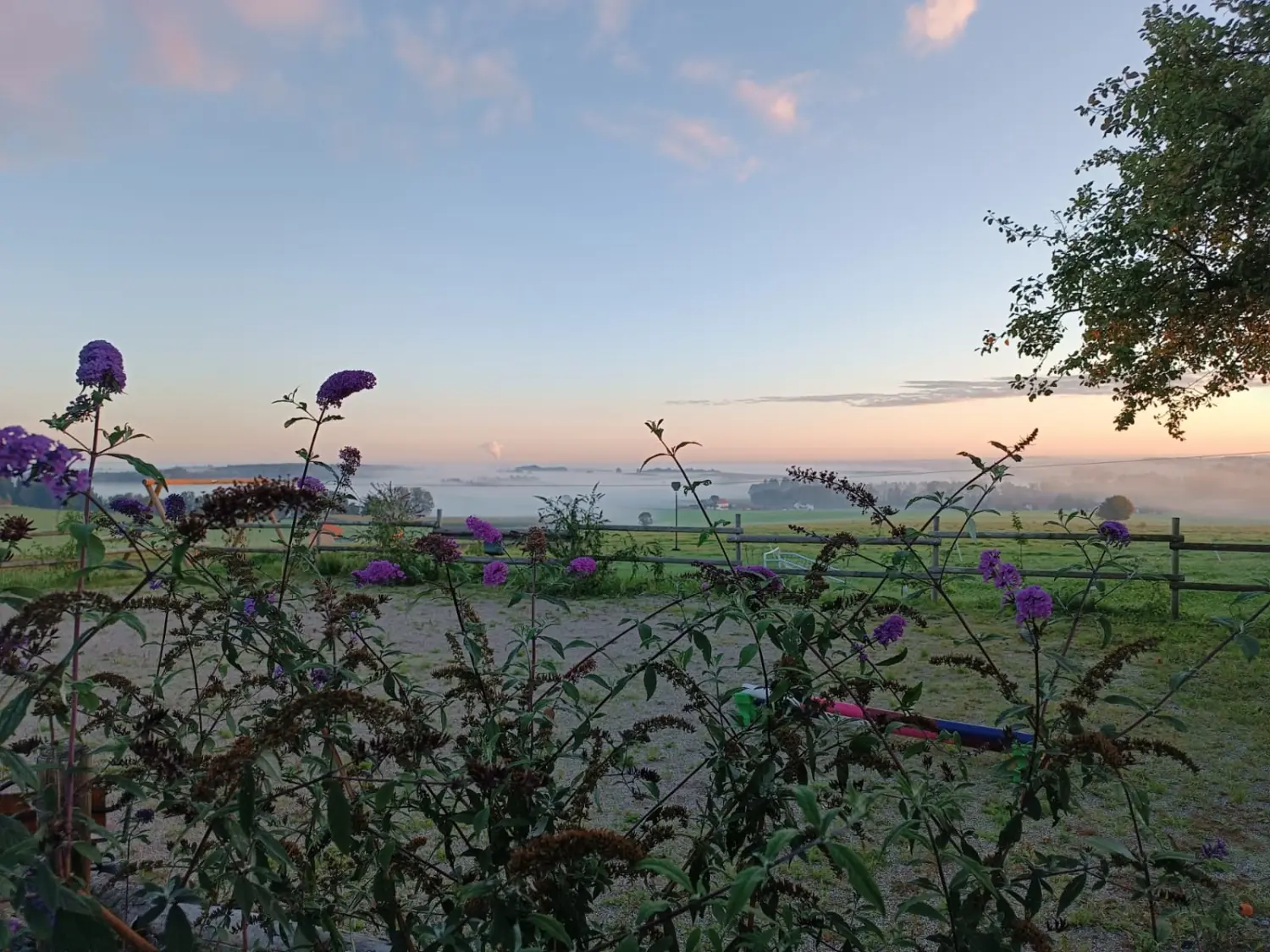 Wohlfühlen für Tiere