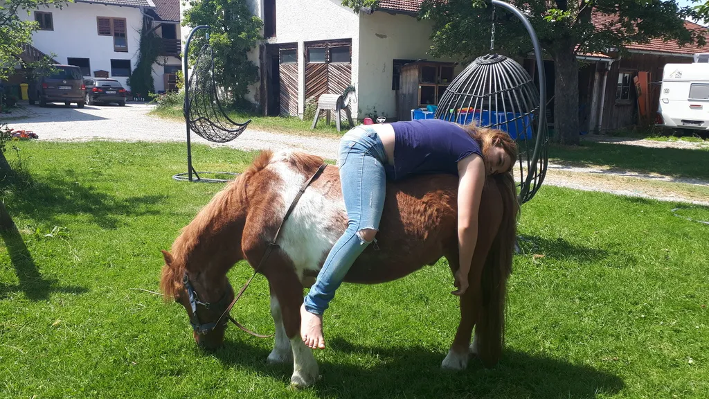 Stornobedingungen