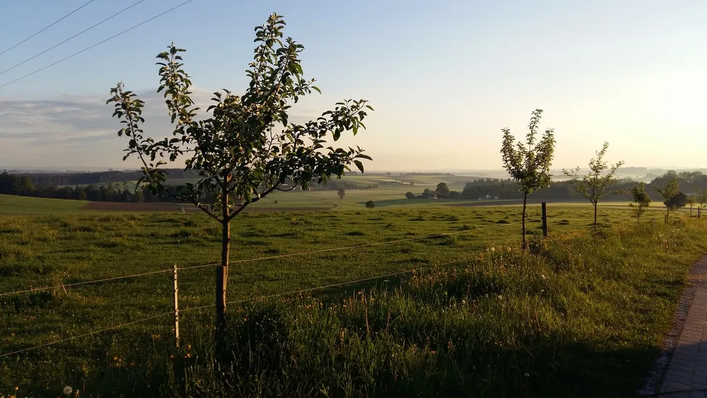 Kinder Erlebnisbauernhof