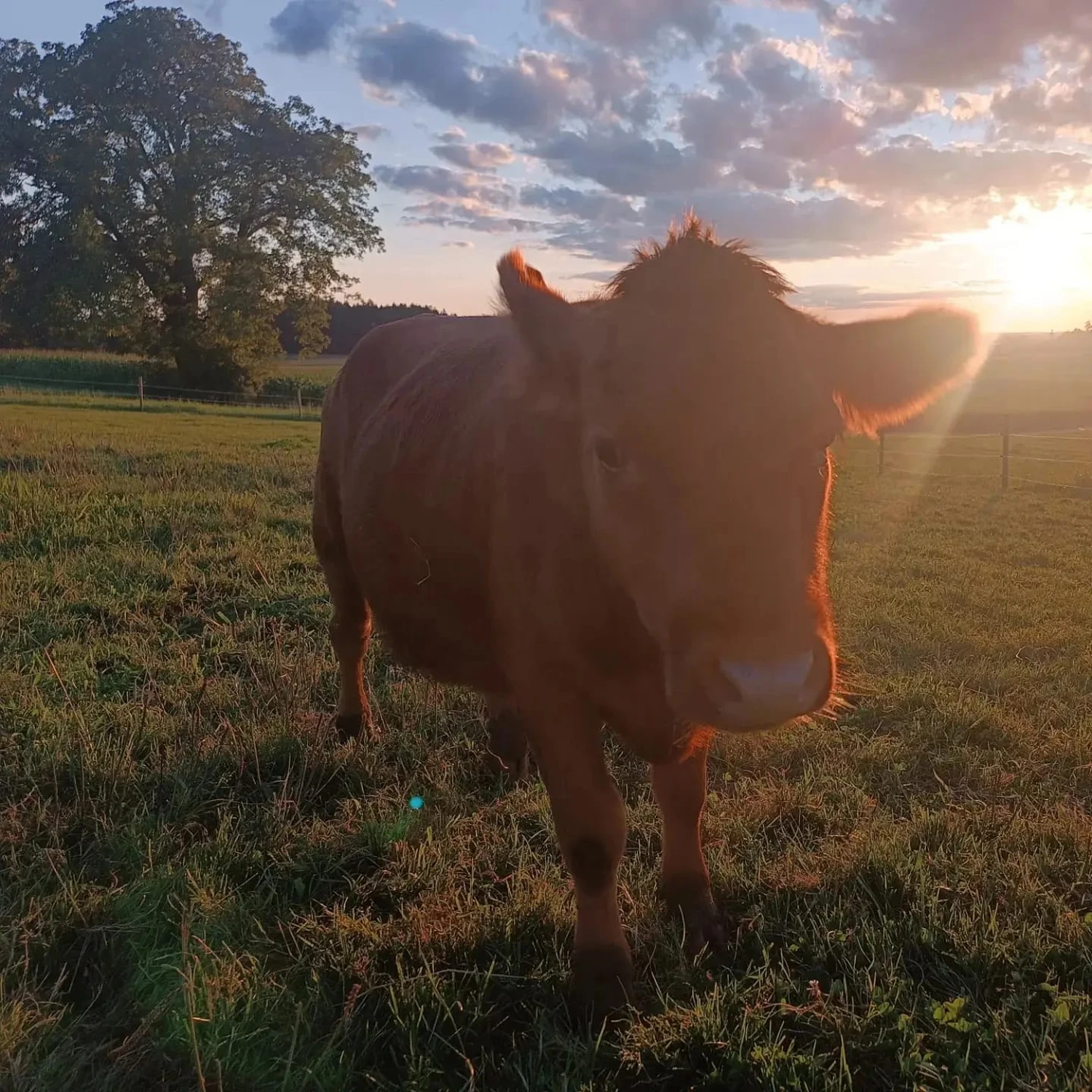 Neubau Wohnung